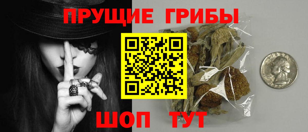 Пугачёв  Галлюциногенные грибы GOLDEN TEACHER  что такое   Вход с VPN 